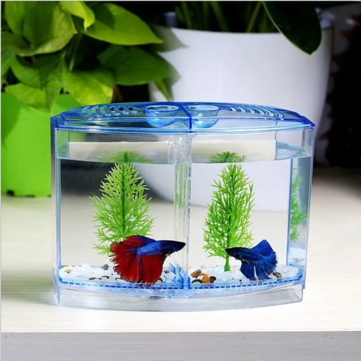 Fish%20Breeding%20Plastic%20Betta%20Isolation%20Box%20Single/Double%20Grid%20Transparent%20Betta%20Fish%20Tank%20Fish%20Breeder%20Box%20Office%20Fish%20-%20Image%206