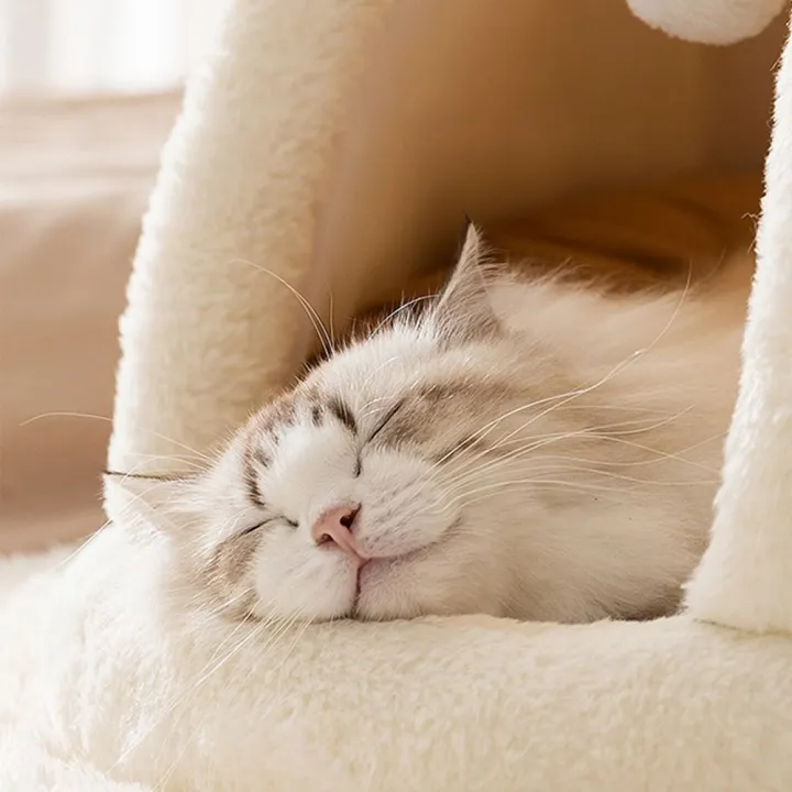 Soft%20Closed%20Pet%20Tent%20House%20Detachable%20with%20Mat%20Plush%20Cat%20Nest%20Small%20Puppy%20House%20Cat%20-%20Image%203