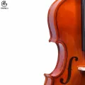 Manaslu Starter Violin with Case, Bow and Rosin. 