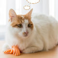 2Pcs Funny Mini Hands Finger Small Hand Tease the Cat Pet Toy. 