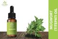 Mugwort/Titepati /Artemesia Oil 30ml /Herbs Nepal. 