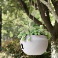 OYPFXMI 4Pcs Plastic Hanging Planter Self Watering Basket with Hooks, Hanging Flower Pot with Detachable Base White. 