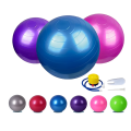 65cm Anti-Burst Stability Exercise Ball with Hand Pump for Fitness & Yoga - New. 