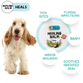 Papa Pawsome Dog Healing Balm For Dogs -30Gms. 