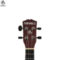 Manaslu Danfe 21 Inch Soprano Ukulele with Bag. 