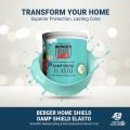 Berger Home Shield Elasto ( For Crack Bridging And Waterproofing Solutions ). 
