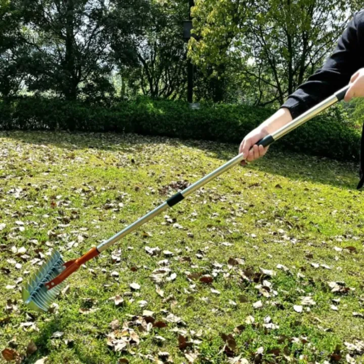 Turf Combs Dry Grass Stainless Steel Detachable Lawn Thatch Rake Removable Durable ...
