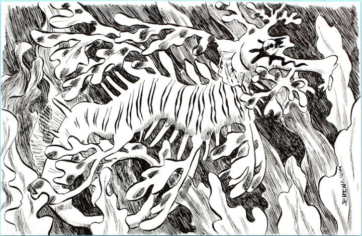 Zebra%20Comic%20Pen%20Nib%20-%20G%20Model%20-%20Chrome%20-%20Pack%20of%2010%20By%20KitabKalam%20-%20Image%206