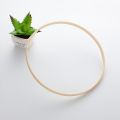 4X Dream Bamboo Rings,Wooden Circle Round Catcher DIY Hoop for Flower Wreath House Garden Plant Decor 20.5cm. 