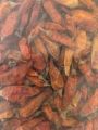 Dry Jire Khursani (birds eye chilli) 50g. 