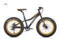 Trinx T100 Fat Bike. 