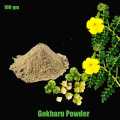 Gokharu Powder - Tribulus Terrestris Treat UTI, Kidney Infection - Boost Libido And Testosterone - Gokshura 100gm. 