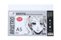 Brustro Bristol Paper 250gsm A5 Pk of 20+4. 
