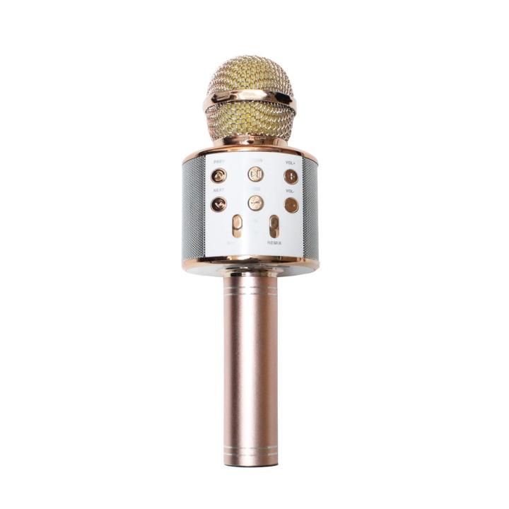 WSTER WS-858 Wireless Microphone and HiFi Speaker