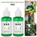 Efficiently Root Stimulator Plant Resurrection Liquid Fruit Liquid Root Booster 50ml Succulent Rooting Nutrient. 