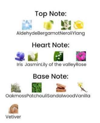 DELSC%20No%201%20Eau%20De%20Parfum%20for%20Women%20-%2050%20ml%20-%20Image%208