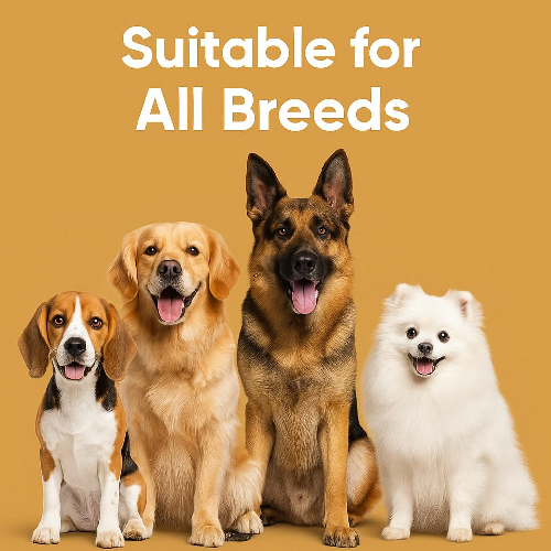 Dog%20Stick%20Bone-9pc%20-%20Image%204