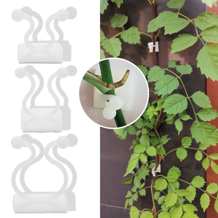 10PCS%20Invisible%20Plants%20Holder%20Greenhouse%20Bracket%20Wall%20Sticky%20Hook%20Plant%20Clip%20Wall%20Vines%20Rattan%20Clamp%20-%20Image%206