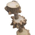 NAMUNY Bird Platform Perch Playground for Parakeet, Cage Natural Wood Play Stand Parrot Flat Perches for Medium Birds. 