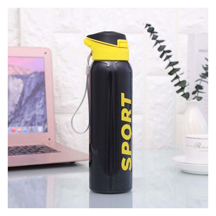 Stainless Steel Sipper Bottle for Kids| Silicon Straw Bottle for Kids 500 ml Water Bottle