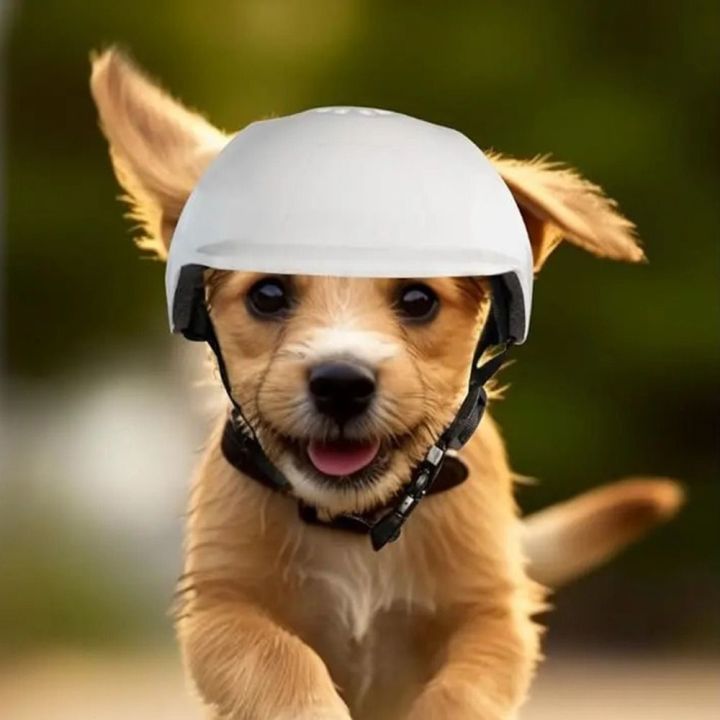 Durable%20Windproof%20Dog%20Helmets%20Ear%20Holes%20Sturdy%20Pet%20Motorcycle%20Helmet%20Hat%20Lightweight%20Breathable%20Sport%20Doggy%20Cap%20Puppy%20-%20Image%203