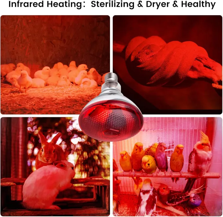 Infrared%20Heating%20Lamp%20with%20Heavy%20Duty%20Pendent%20Holder%20%E2%80%93%20Pet%20Brooder,%20Hatch%20Chicken%20&%20Animal%20Infrared%20Lamp%20for%20Breeding%20-%20Image%208