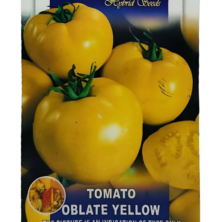 Vegetable Seeds 20+ loose seed Tomato Oblate Yellow Plant Seeds