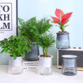 Self Watering Plant Pot Transparent Plastic Flower Vase Double-layer Automatic Lazy Potted Hydroponic Pot Garden Home Dector Demoo. 