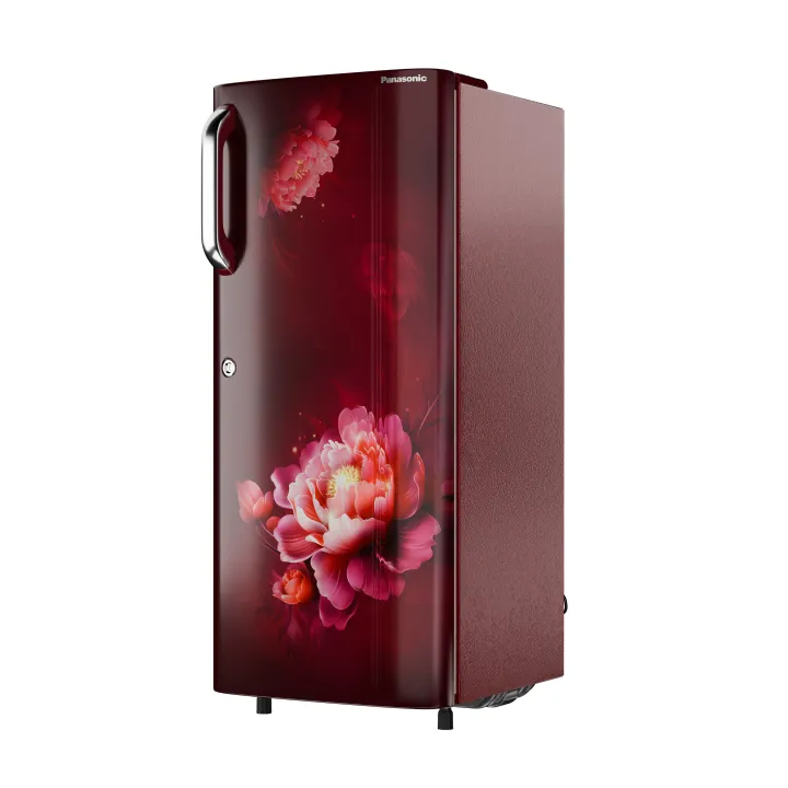 Panasonic%20NR-A242CFRX%20Refrigerator%20-%20Big%20Digital%20-%20Image%204