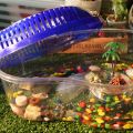 Durable Practical Plastic with Handle Household Turtle Habitat Spider Jar Reptile Container Turtle. 