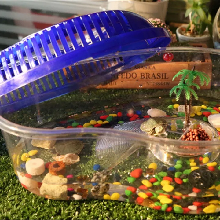 Durable%20Practical%20Plastic%20with%20Handle%20Household%20Turtle%20Habitat%20Spider%20Jar%20Reptile%20Container%20Turtle%20-%20Image%207