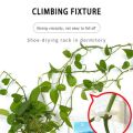 10PCS Invisible Plants Holder Greenhouse Bracket Wall Sticky Hook Plant Clip Wall Vines Rattan Clamp. 