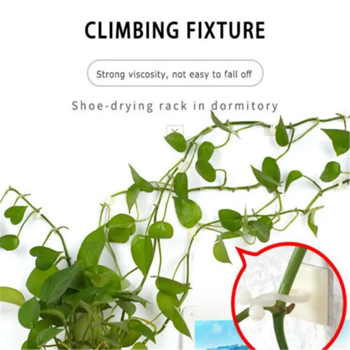 10PCS%20Invisible%20Plants%20Holder%20Greenhouse%20Bracket%20Wall%20Sticky%20Hook%20Plant%20Clip%20Wall%20Vines%20Rattan%20Clamp%20-%20Image%208