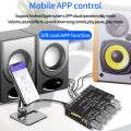-S100L Bluetooth Audio Amplifier Board Audio Amplifier Module Black. 