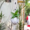 White Macrame Plant Hanager. 