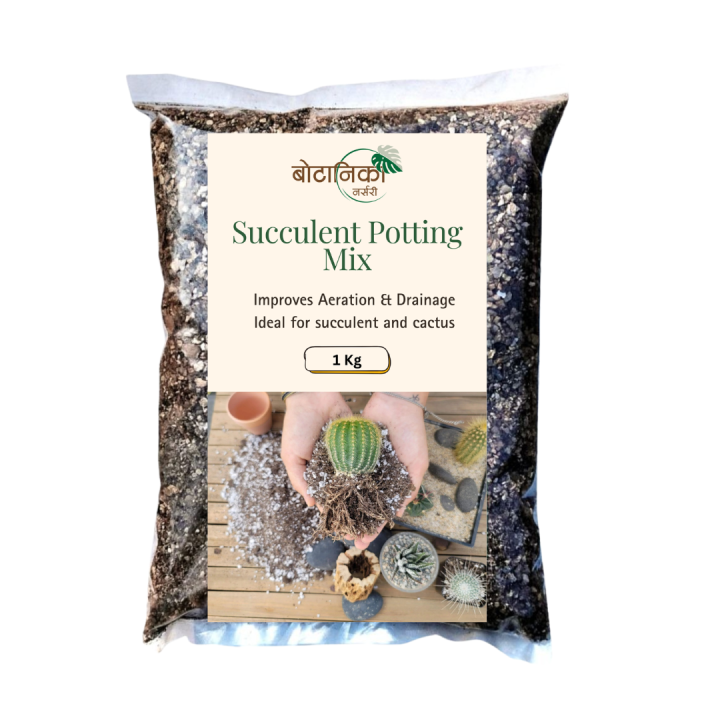 Succulent & Cactus Potting Mix 1 kg | Fast Draining Soil for Healthy ...