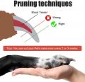 Dog Cat Nail Cutter | Claw & Nails Clippers | Grooming Trimmer For Small, Medium Dogs/Cats - Small Size. 