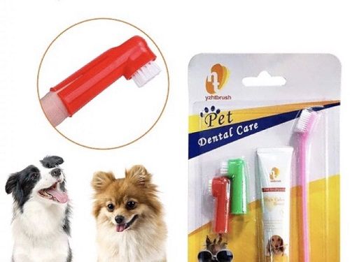 Dog%20Toothpaste%20%7C%20Pets%20Toothbrush%20Combo%20Set%20%7C%20for%20Teeth%20Cleaning%20%20of%20Pet%20Dog%20and%20Cat%20-%20Choose%20Your%20Style%20Options%20Available%20-%20Image%205