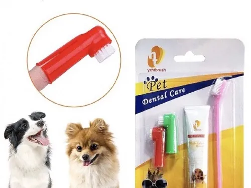 Dog%20Toothpaste%20%7C%20Pets%20Toothbrush%20Combo%20Set%20%7C%20for%20Teeth%20Cleaning%20%20of%20Pet%20Dog%20and%20Cat%20-%20Choose%20Your%20Style%20Options%20Available%20-%20Image%203