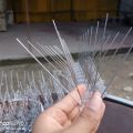 5 Pin Bird Spikes | Stainless Steel Spikes | 60.96 CM. 