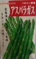 Asparagus Seed (Kurilo) Mary Washington 500W. 