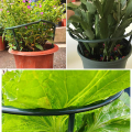 10 Pack Plastic Half Round Plant Support Ring Plastic Plant Cage Holder Flower Pot Climbing. 