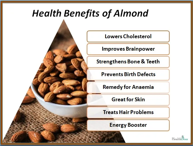 Dry%20Fruits%20(%20Almond%20)%20100Gm%20-%20Image%203