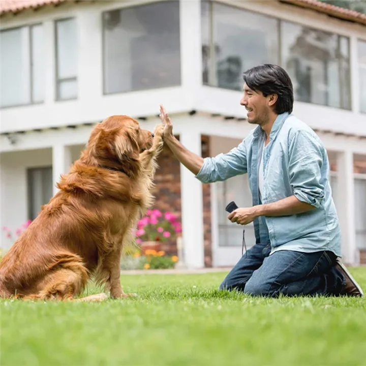 JAERBEE%20Ultrasonic%20Bark%20Stopper%20Portable%20Bark%20Stopper%20Handheld%20Dog%20Repeller%20with%20LED%20Light%20Battery%20Powered%20-%20Image%202
