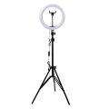 7 Feet Tripod Stand with 26CM LED Ring Light & Mobile Holder | Adjustable Aluminum Tripod for Photography, Reels, YouTube, TikTok, Makeup & Video Shooting | 26cm Selfie Ring Light with Phone Mount. 