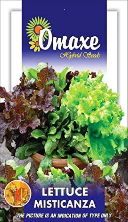 6%20Types%20Of%20Lettuce%20Seeds%20Mixed%20120%20Plus%20Seeds%20(Lettuce%20Imported%20Mix%20(Misticanza)%20Exotic%20Seeds)%20-%20Image%202