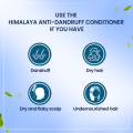Himalaya Anti-Dandruff Conditioner 100ml Pack of 2 pc. 