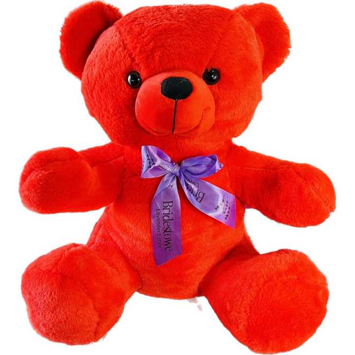 Teddy Bear of 2ft Daraz .np