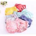 Washable Baby Panty Diaper. 