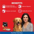 Drools Adult Dry Dog Food Chicken and Egg 3kg Pack. 